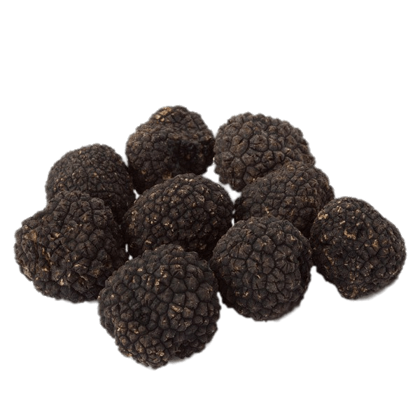 Fresh Burgundy Truffles