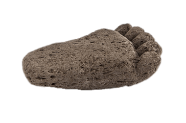 Foot Shaped Pumice Stone