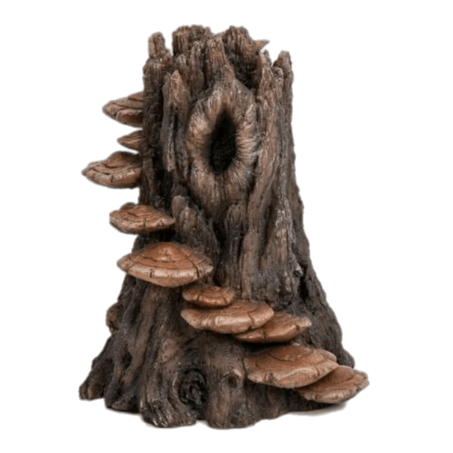 Tree Trunk With Mushroom Steps