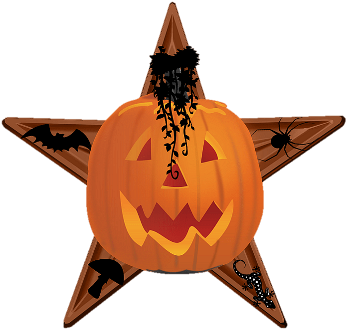 Pumpkin On Wooden Star