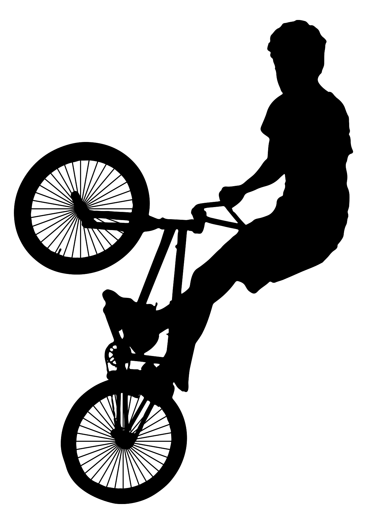 Silhouette of a BMX Rider