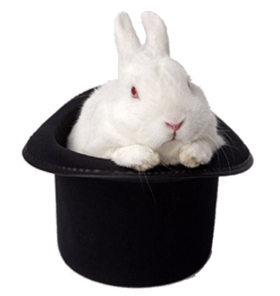 Rabbit Magic