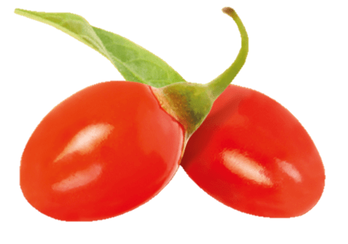 Two Goji Berries
