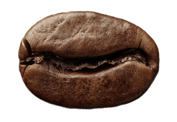 Single Roasted Coffee Bean