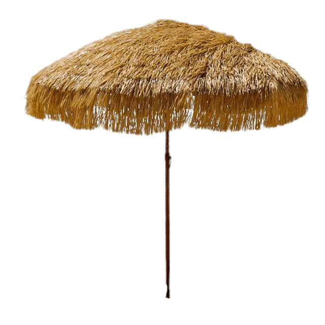Parasol Rapphia