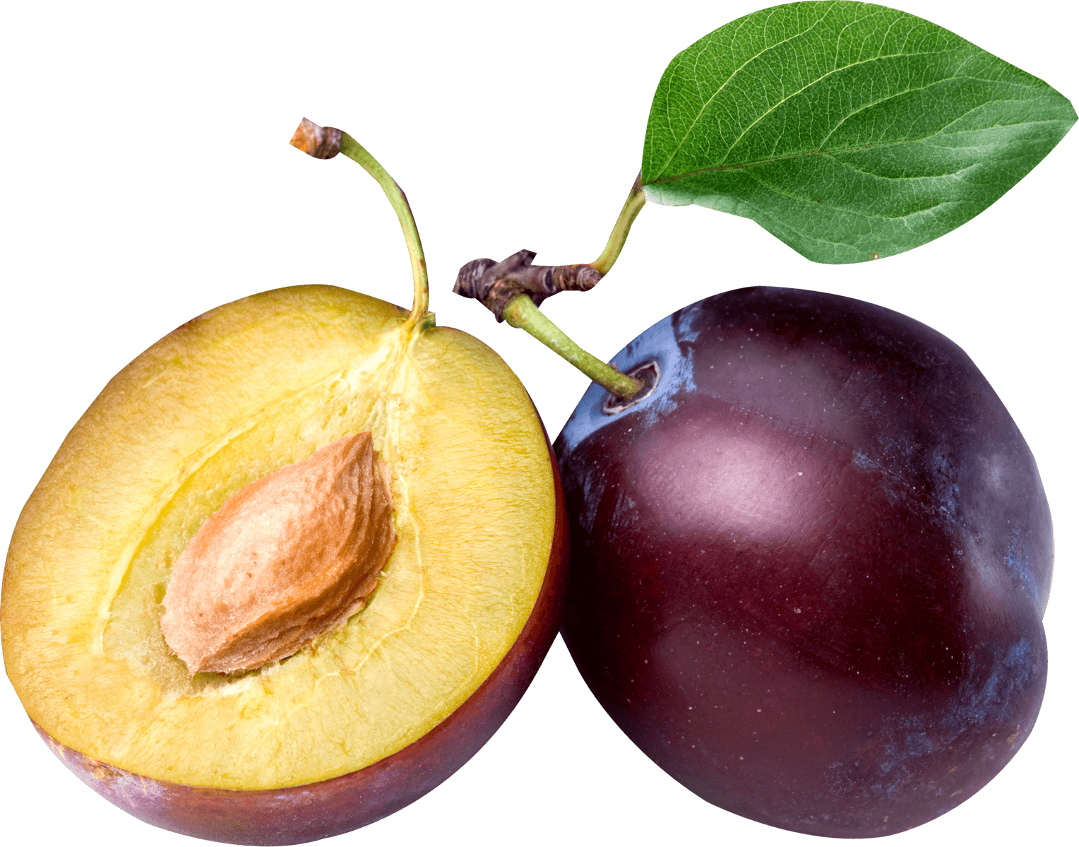 Open Plum