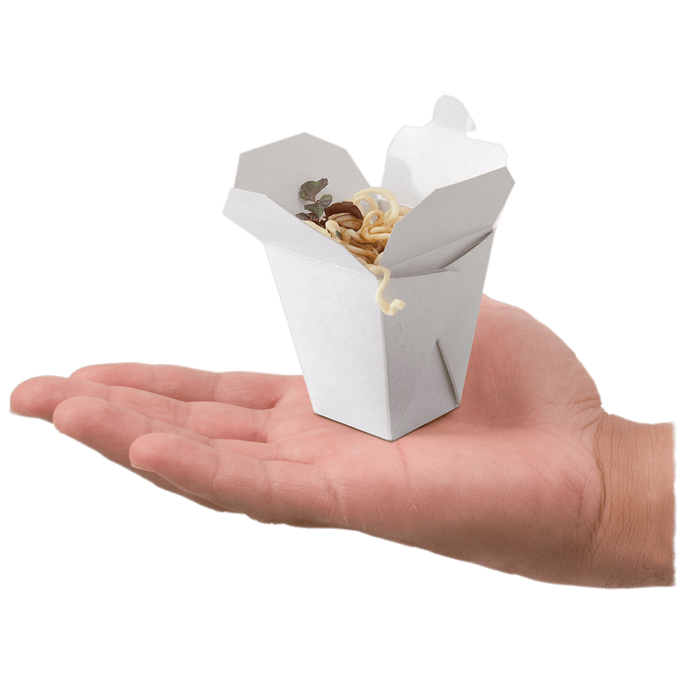 Mini Take Away Box on Hand