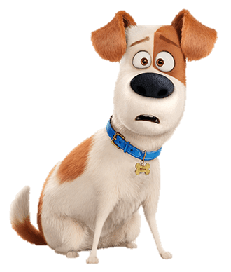 The Secret Life Of Pets Max