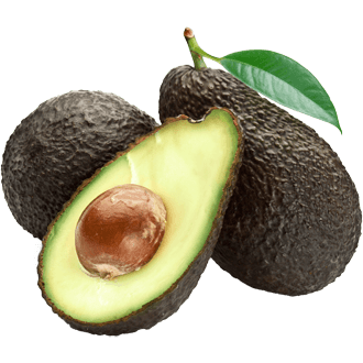 Avocado Open
