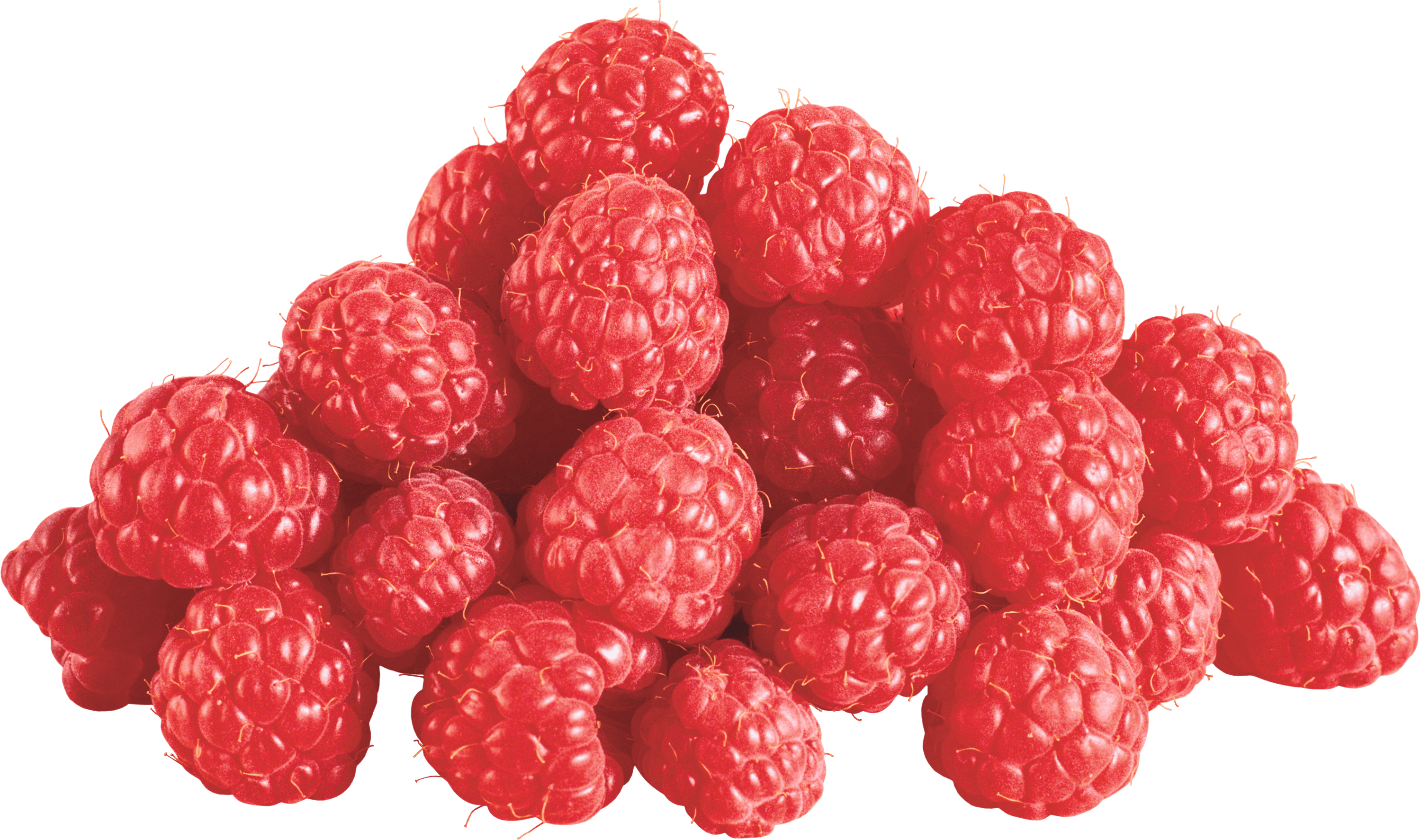 Group Of Raspberries