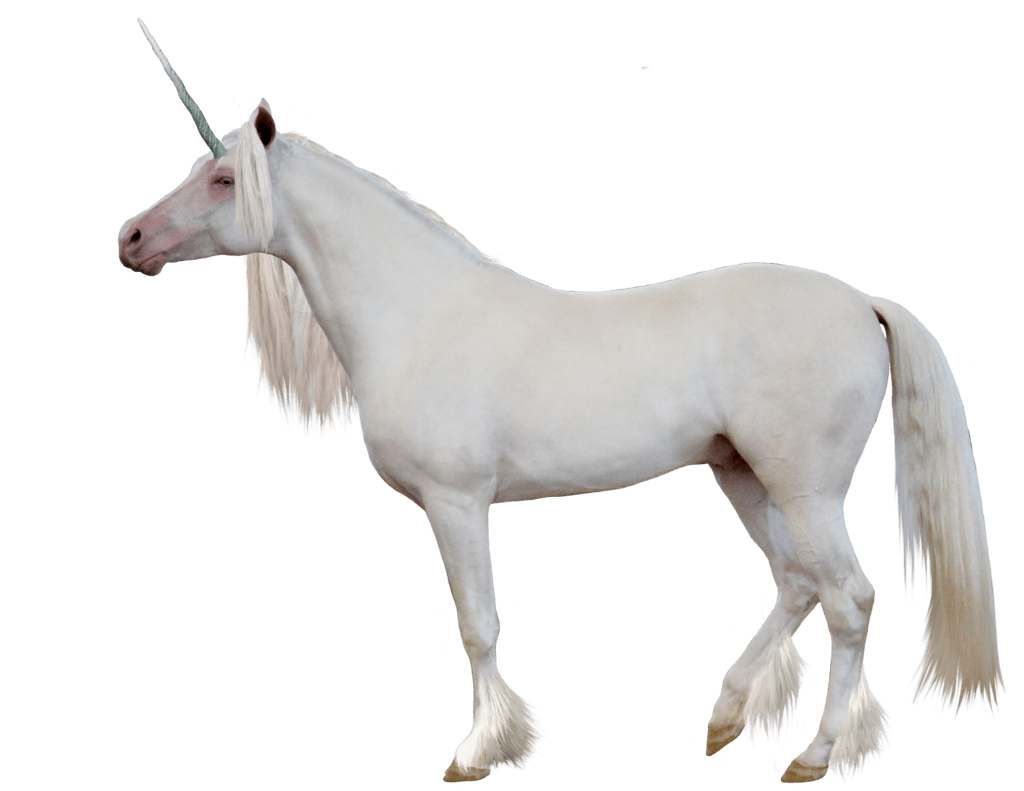 Unicorn Sideview