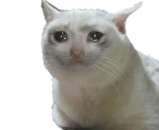 Crying Cat Meme