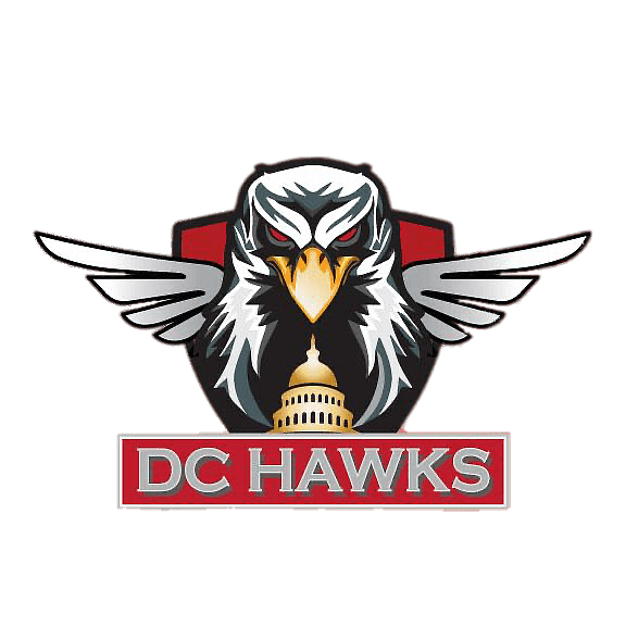 DC Hawks Cricket Team 