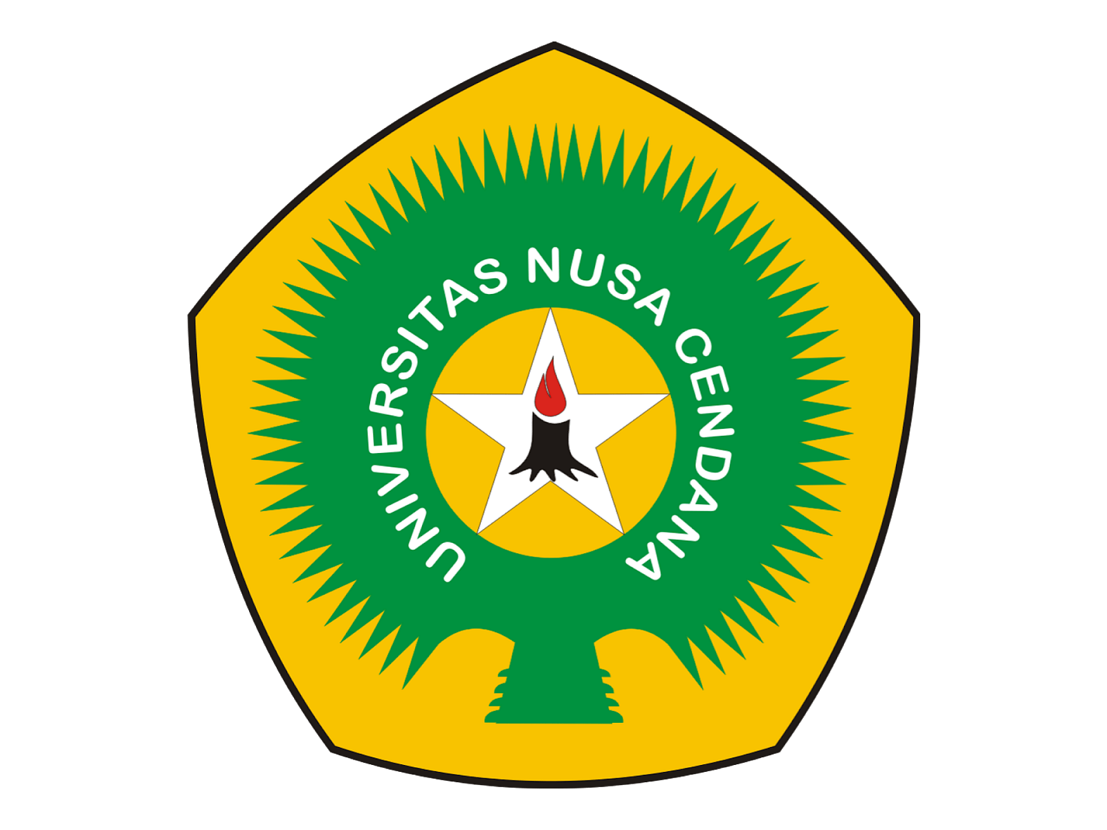 University of Nusa Cendana 