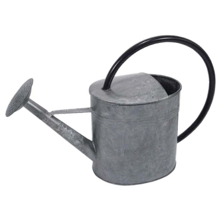 Galvanised Watering Can