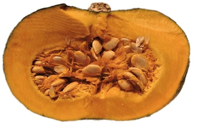 Half Pumpkin With Visible Seeds