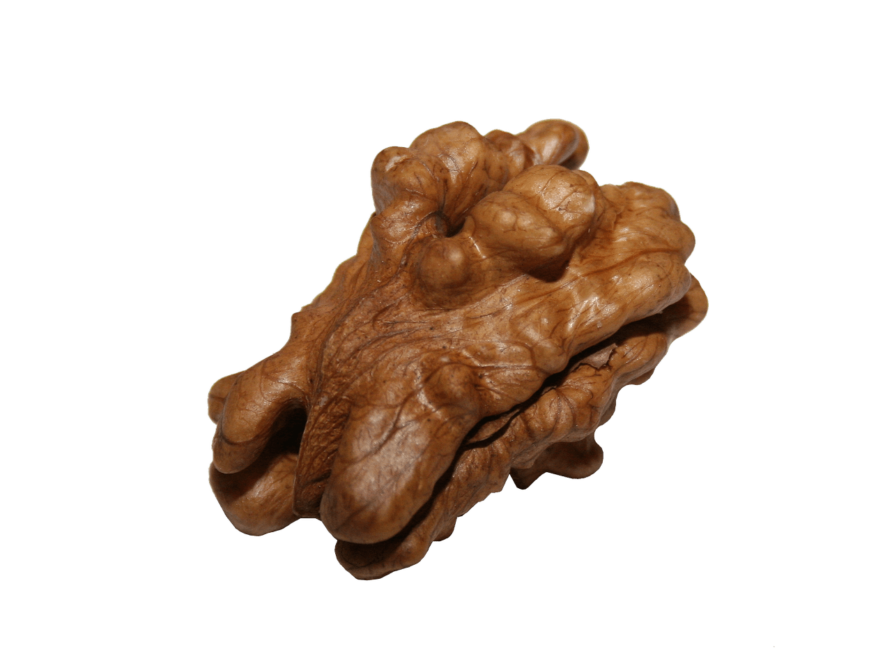 Walnut Kernel