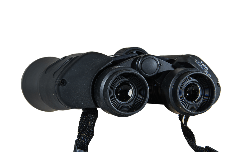 Binocular Right View