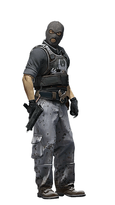 Counter Strike Agent