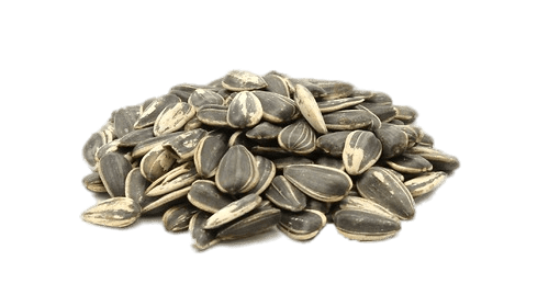 Roasted Sunflower Seeds