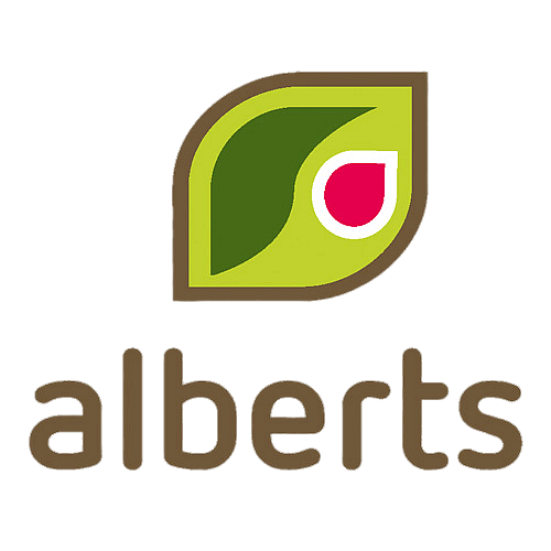 Alberts 