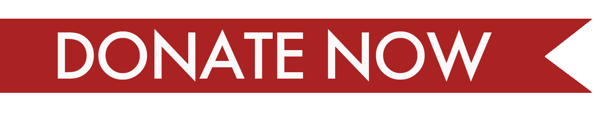 Donate Now Banner Button