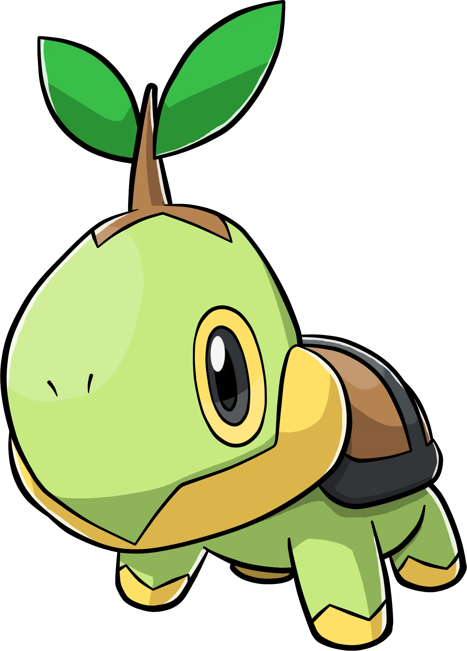 Turtwig Pokemon