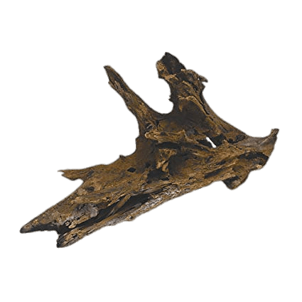 Decorative Driftwood