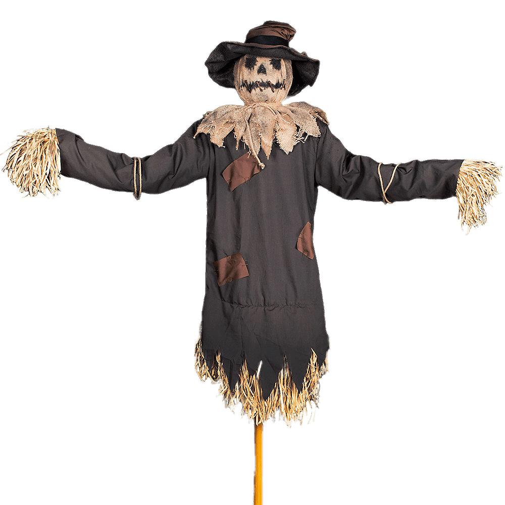 Haunted Scarecrow