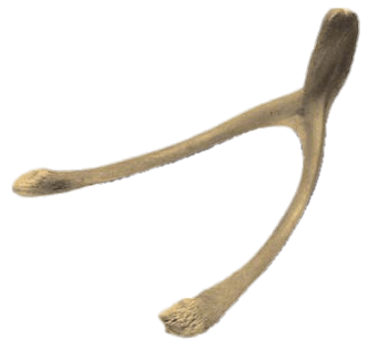 Wishbone Luck Symbol