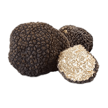 Fresh Black Italian Summer Truffles