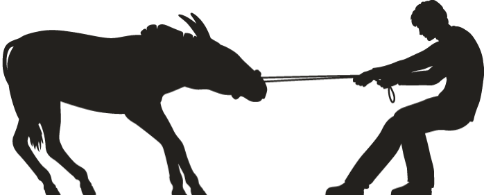 Man Pulling A Stubborn Mule Silhouette