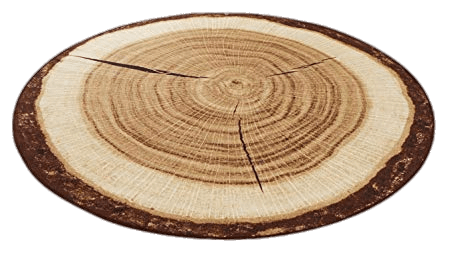 Tree Trunk Cross Section Mat