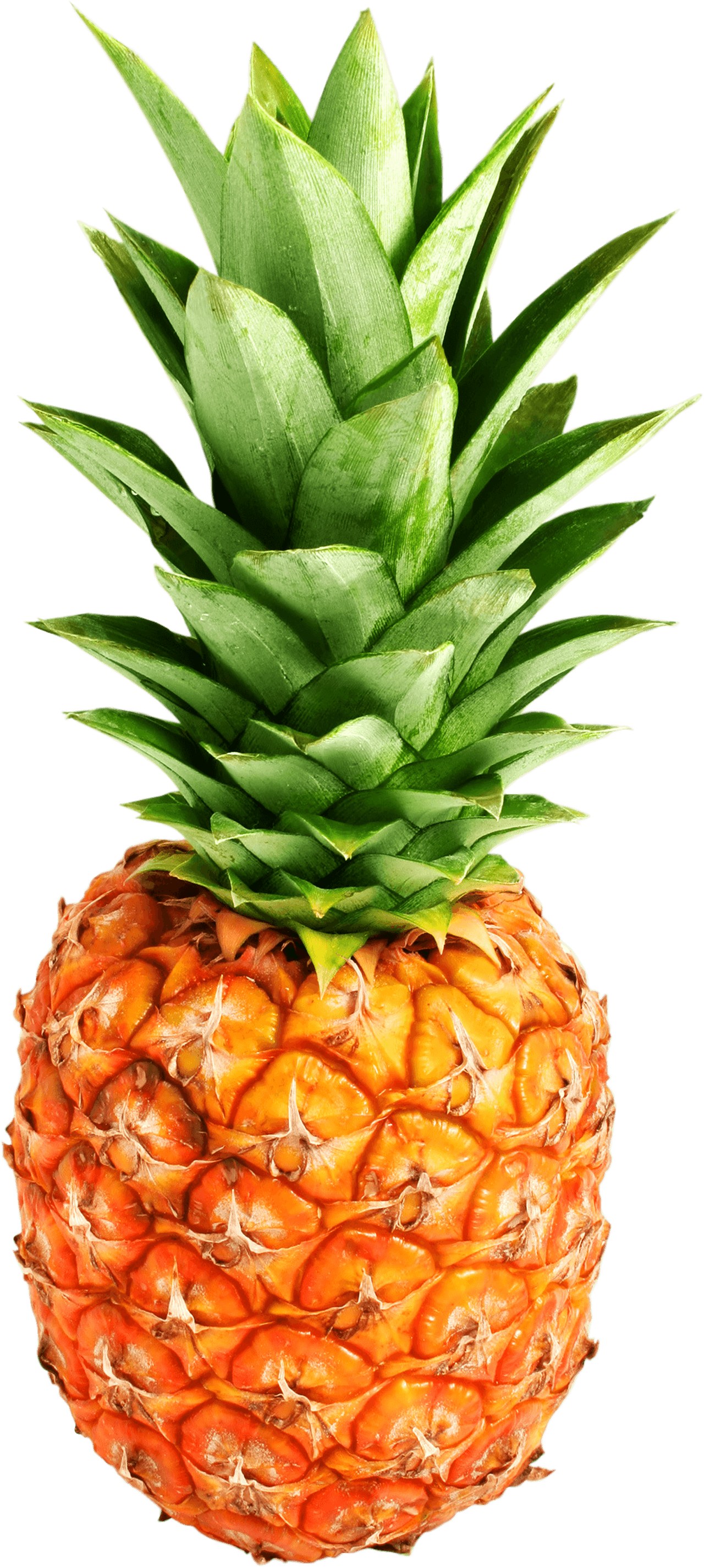 Orange Pineapple