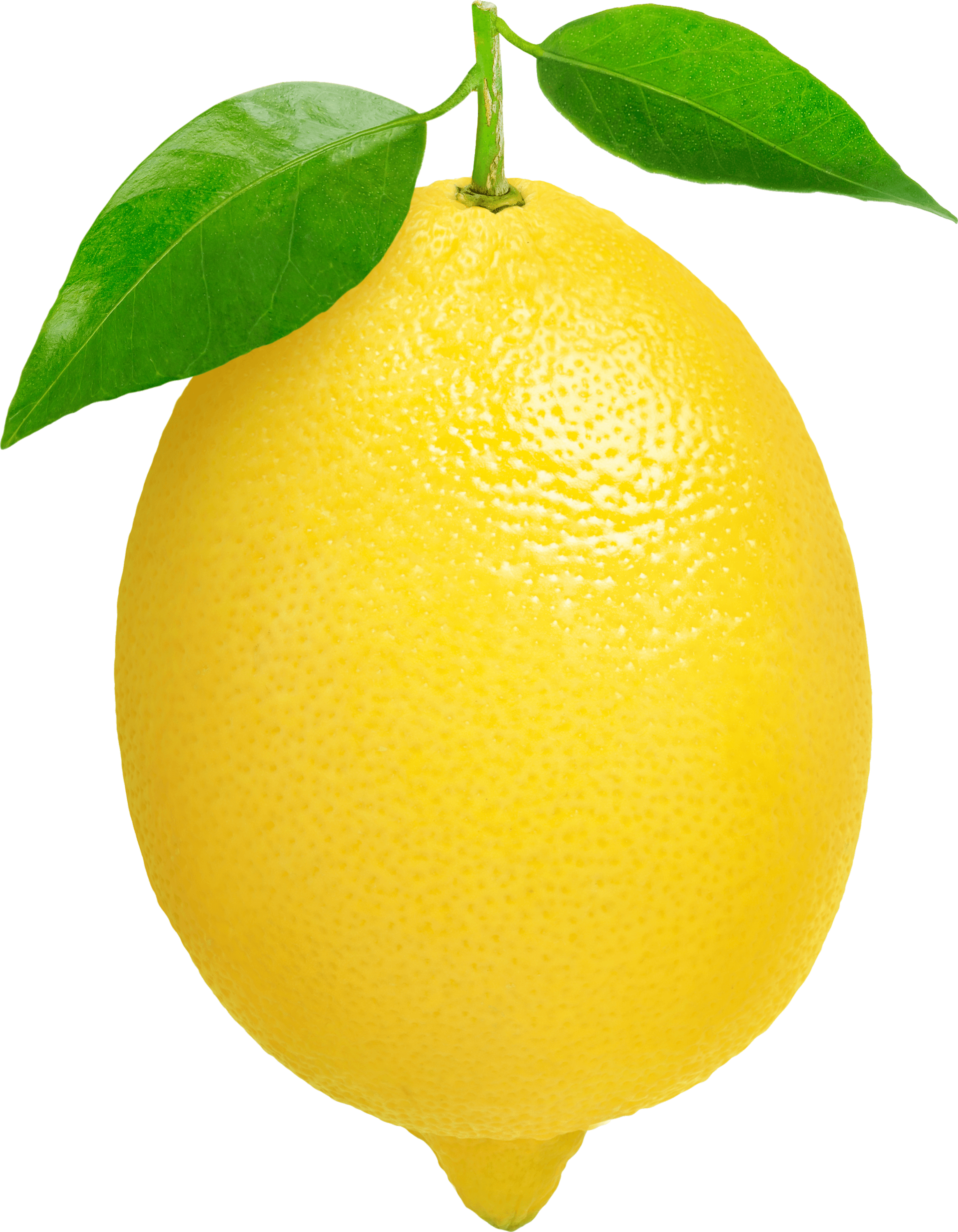 Single Lemon