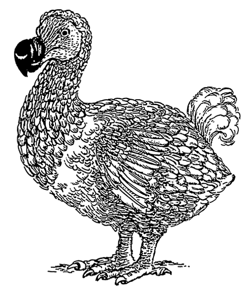 Dodo Clipart