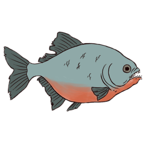 Piranha Drawing