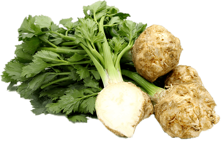 Celery Root