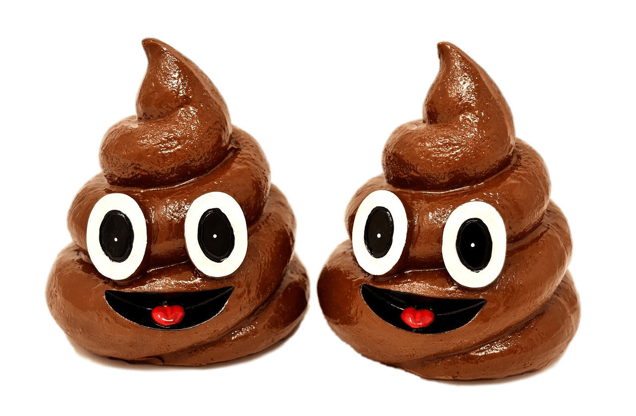 Poop Duo