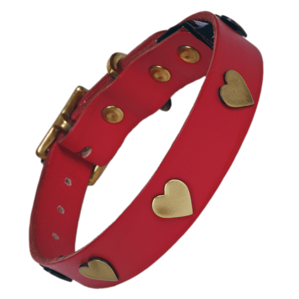 Golden Hearts Dog Collar