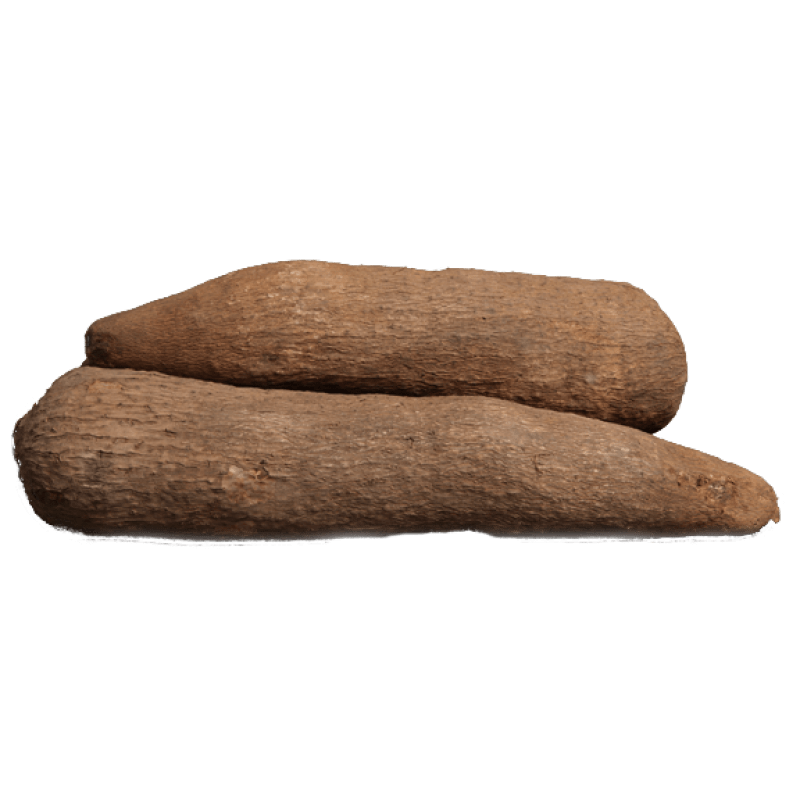 Long Yam