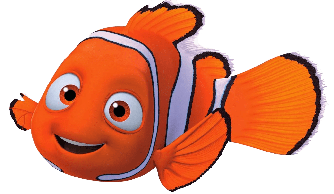 Nemo Close Up