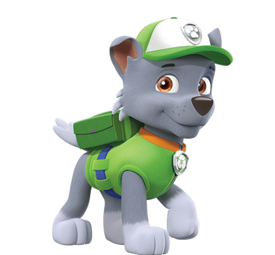 Paw Patrol Rocky