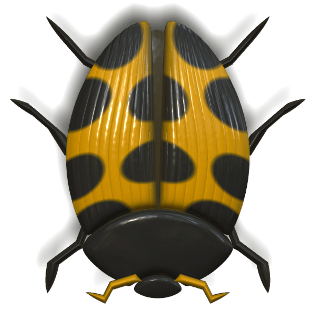 Ladybug Orange and Black