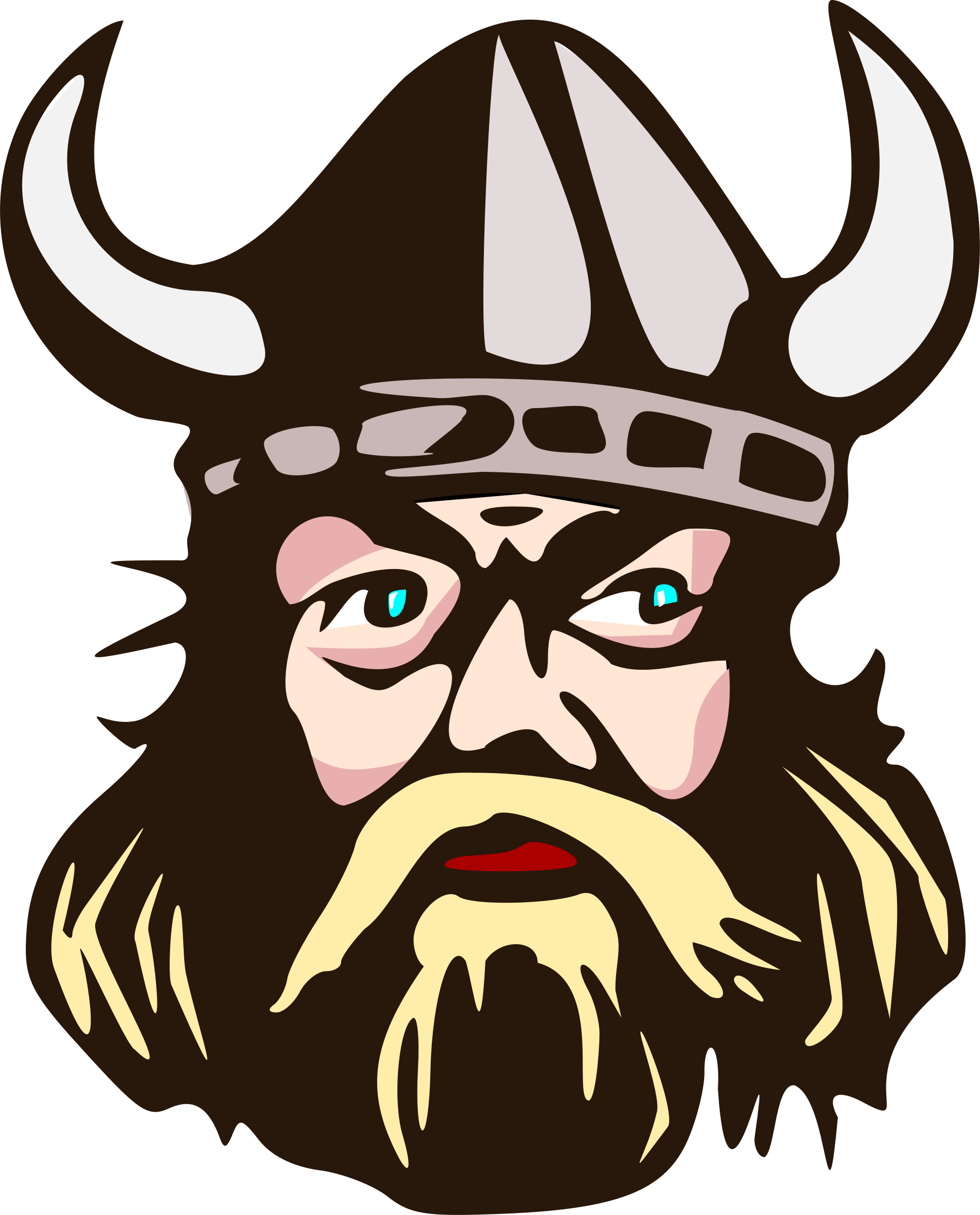 Viking Man Illustration
