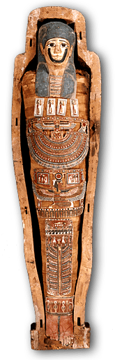 Egyptian Mummy and Coffin