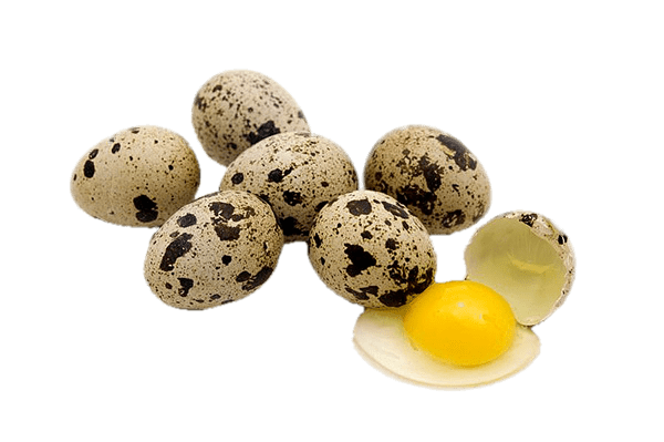Quail Eggs