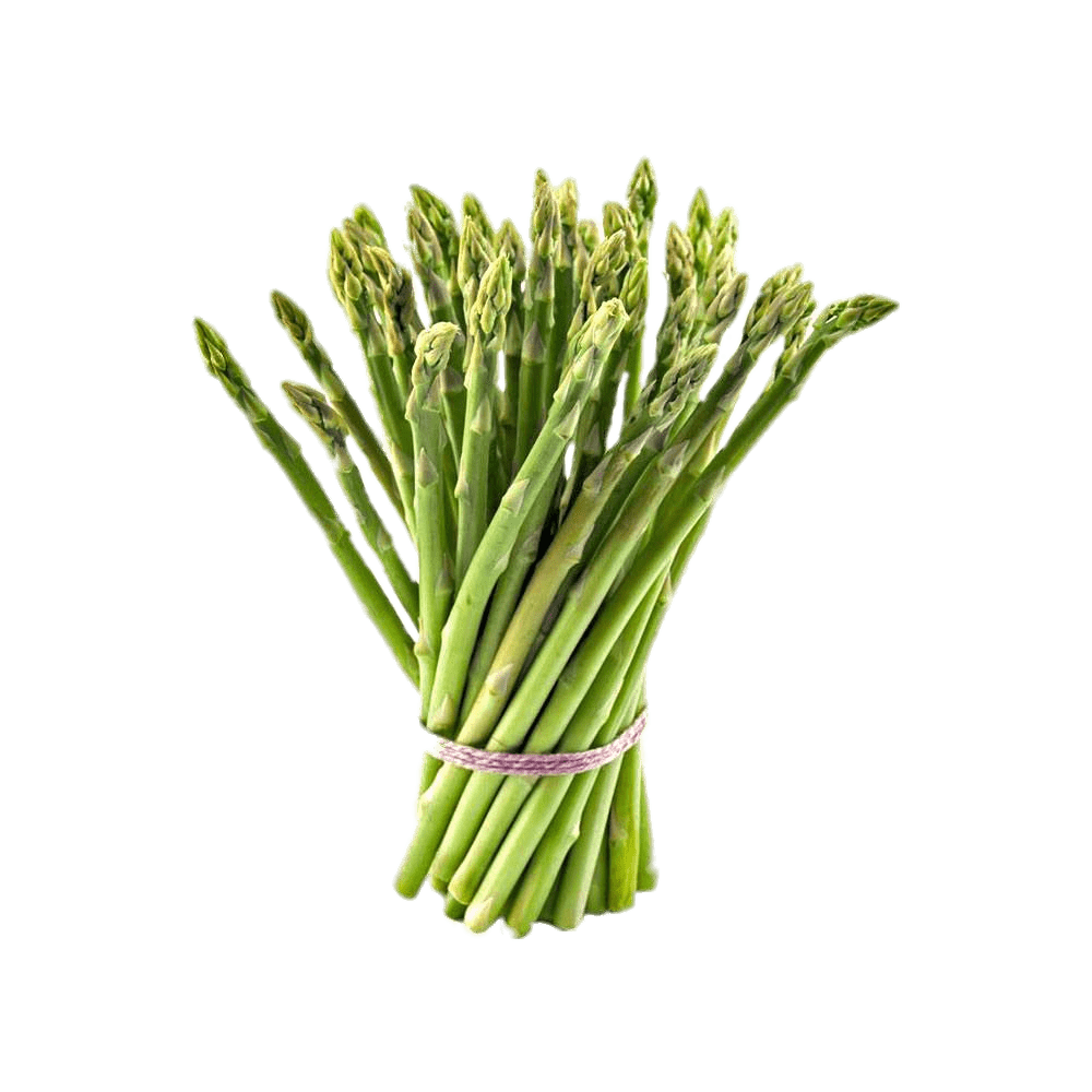 Tied Bundle Of Asparagus