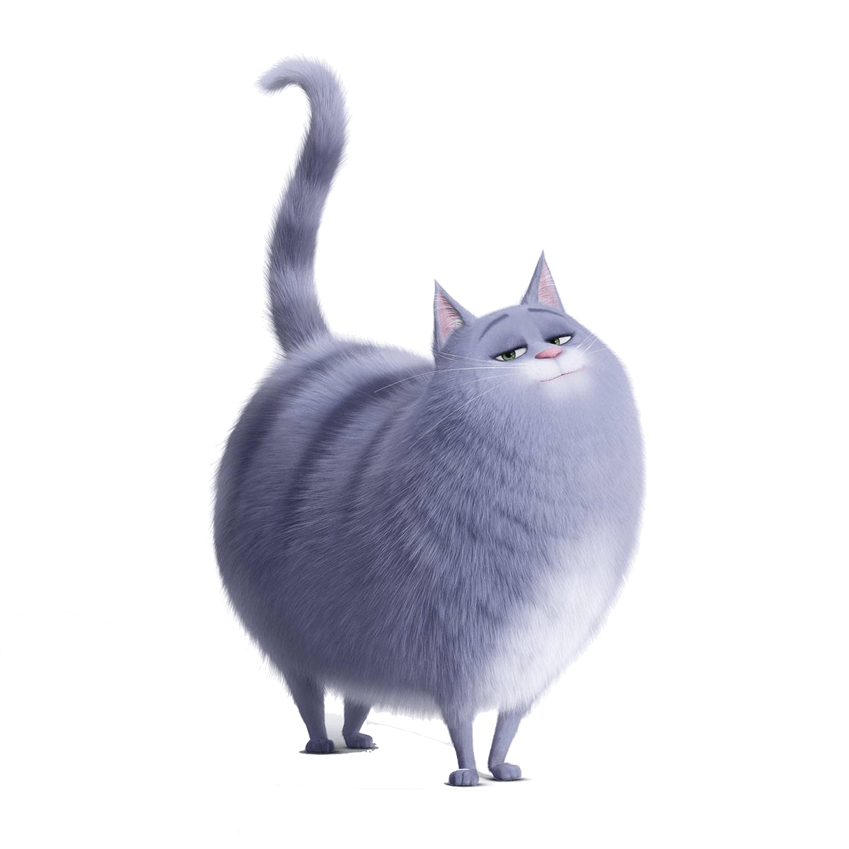 Chloe Tail In the Air