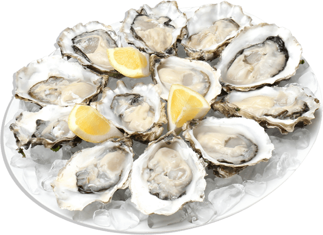 Oysters